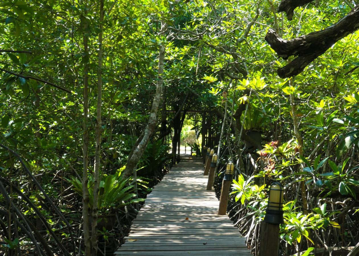 บ้านริมน้ำ เกาะช้าง ภายนอก รูปภาพ